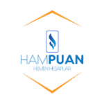 ham-puan-hesaplama